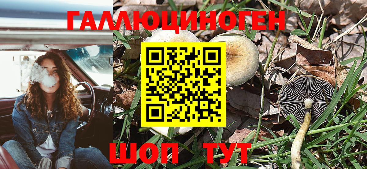 Галлюциногенные грибы мухоморы  Вход с VPN  Гулькевичи 